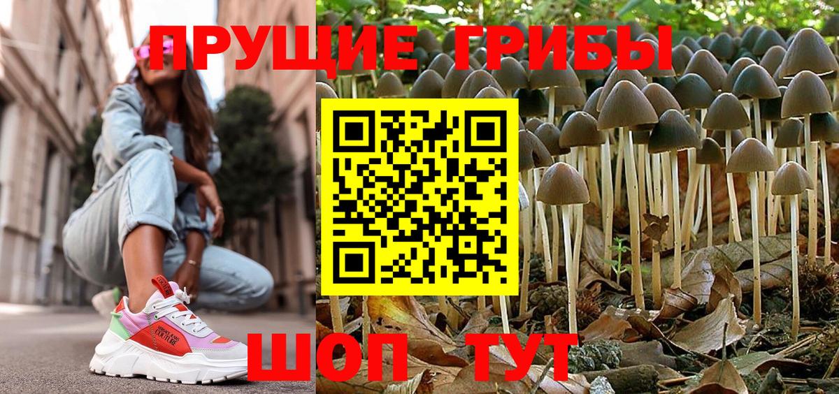 Галлюциногенные грибы Cubensis Дербент