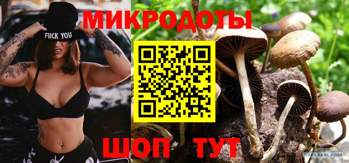 Дербент  хочу   Псилоцибиновые грибы мицелий  Вход с VPN  Псилоцибиновые грибы ЛСД 